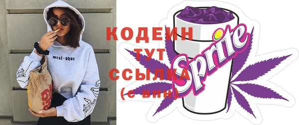 амф Елабуга