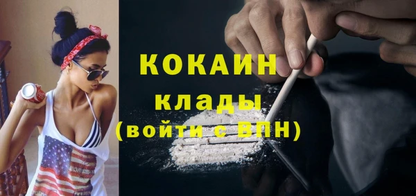 метадон Ельня