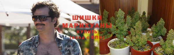 амф Елабуга
