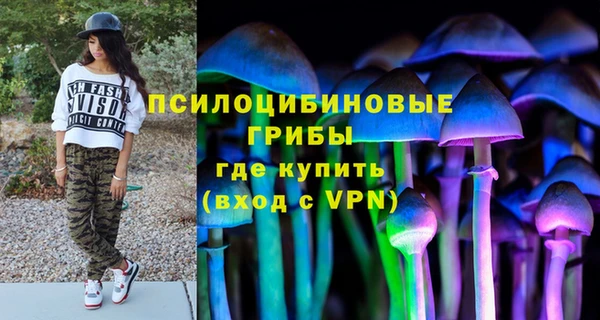 тгк Елизово
