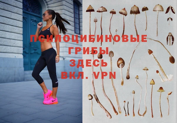 тгк Елизово