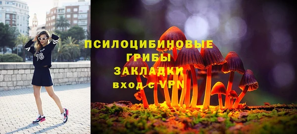 тгк Елизово