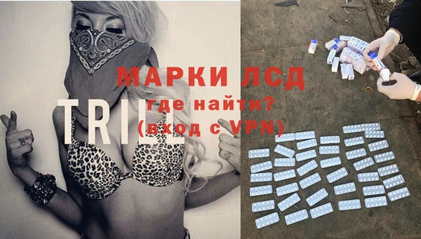 тгк Елизово