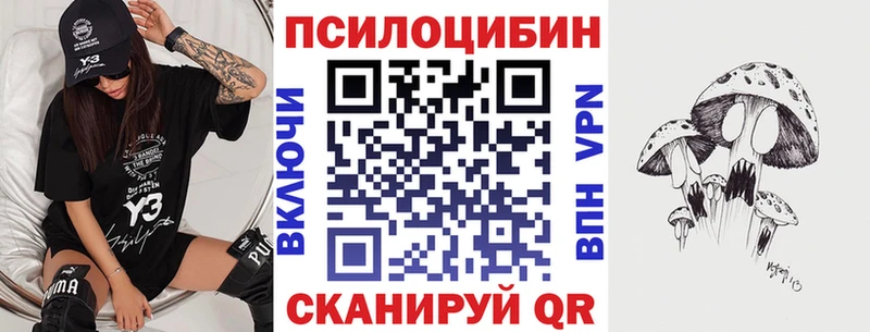 Купить закладки  Каменск-Уральский  Псилоцибиновые грибы Psilocybe 